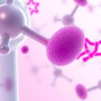 eda-fibronectin:-a-key-target-in-ovarian-cancer