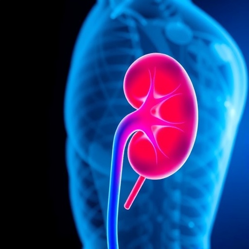 innovative-drug-approaches-transform-kidney-transplant-outcomes