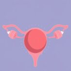 challenges-of-hormonal-therapy-in-endometriosis-patients