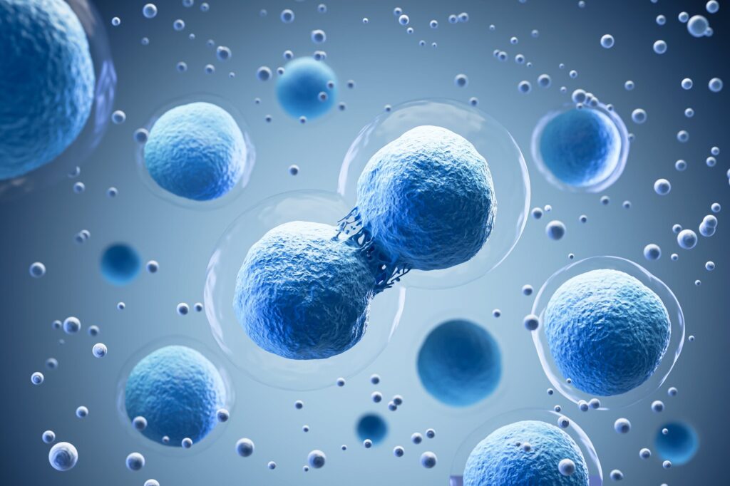 vhh-antibodies:-small-size-big-possibilities.