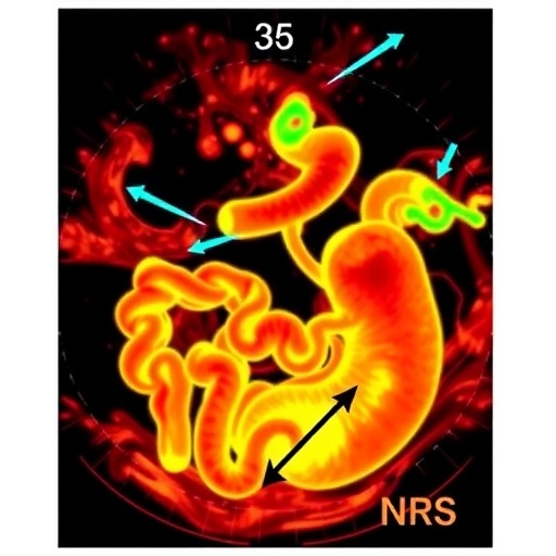 ultrasound-and-nirs:-tracking-intestinal-injury-in-preemies