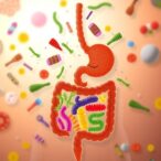 research-reveals-major-health-benefits-from-gut-microbiome-transplants