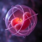 unveiling-the-science-of-oocyte-dormancy:-the-biology-behind-sleeping-beauties