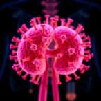 ucla-scientists-create-ready-to-use-immunotherapy-for-metastatic-kidney-cancer