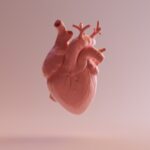 at-esc-2025,-new-heart-valve-guidelines-call-for-earlier-tavr-as-implant-makers-expand-reach