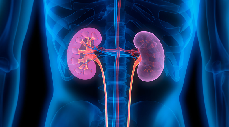 off-the-shelf-immunotherapy-demonstrates-multipronged-attack-against-cancer