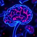 metformin-boosts-mitochondria-and-oligodendrocyte-function