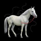 helminthiasis-in-equines:-efficacy-of-anthelmintics-in-oromia
