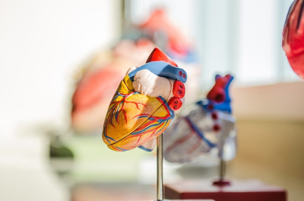 kardium-grabs-fda-approval-for-globe-pulsed-field-ablation-catheter-in-afib