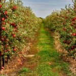 enveda-harvests-another-$150m-to-advance-nature-inspired-drugs
