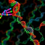 mapping-rna-protein-interactions-via-genome-sequencing
