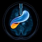 essential-guidelines-for-pediatric-liver-mri