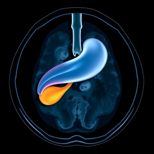 essential-guidelines-for-pediatric-liver-mri