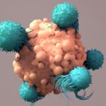 immune-checkpoint-inhibitor-extends-tumor-residence-time-for-cancer-therapy
