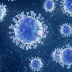non-neutralizing-antibody-cocktail-effective-against-multiple-flu-strains