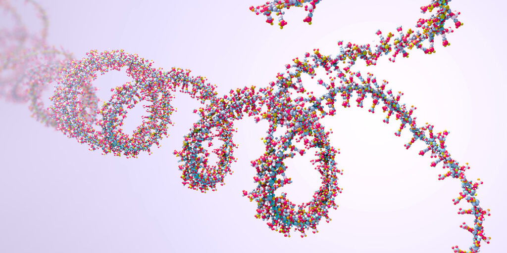 accelerated-protein-screening-with-enfinia-linear-dna-and-genefrontier’s-cell-free-purefrex