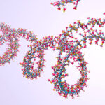 accelerated-protein-screening-with-enfinia-linear-dna-and-genefrontier’s-cell-free-purefrex
