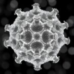 fast-solid-phase-creation-of-crystalline-cof-platelets