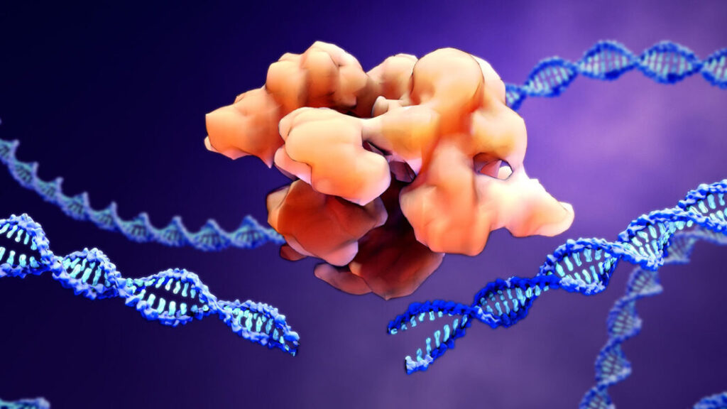 crispr-cas9-treatment-of-rare-vascular-disease,-msmds