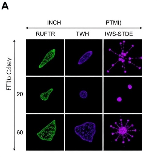 microemulsions-enhance-resistance-in-mycoplasma-gallisepticum