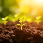 terabase-scale-long-reads-reveal-soil-bioactive-molecules