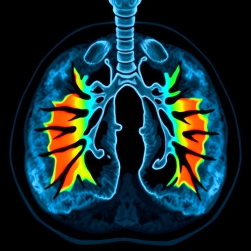 evaluating-lung-function-in-cystic-fibrosis:-mri-methods