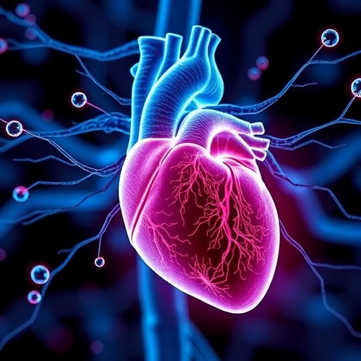 dopamine-d2-receptors-and-heart-cell-death-unveiled