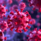 gal-9-on-leukemia-stem-cells-predicts-prognosis