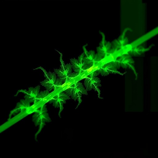 fungal-effector-undermines-maize-immunity-by-targeting-zmlecrk1