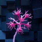 new-phthalide-compounds-show-promise-as-antifungal-agents