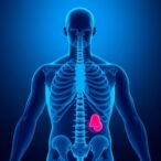 emerging-challenge-in-prostate-screening:-insight-from-primary-care-physicians