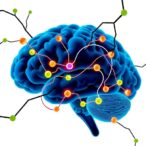 uncovering-the-key-interactions-behind-cell-migration-in-brain-cancer