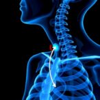 magnetic-sensor-tracks-endotracheal-tube-position