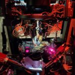 visual-cortex-illusion-circuits-mapped-with-two-photon-holography