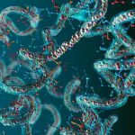 “molecular-magnifying-glass”-illuminates-microenvironmental-changes-in-cells
