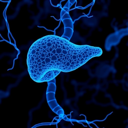 tug1-suppression-boosts-immunity-and-lenvatinib-in-liver-cancer