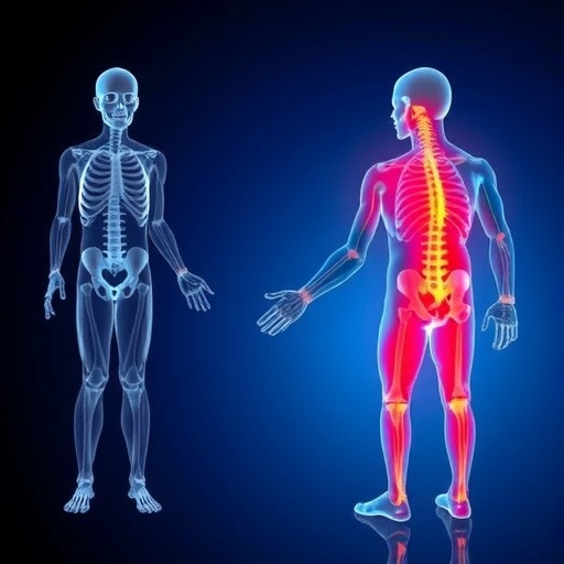 study-identifies-population-aging-as-key-driver-of-musculoskeletal-disorders