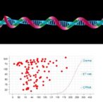 using-cell-free-dna,-mirna-to-estimate-postmortem-interval