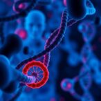 prioritizing-genes-linked-to-sudden-unexplained-death