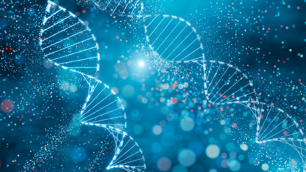 genome-assembly-of-human-epithelial-cell-line-completed-at-reference-quality