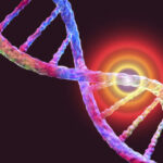 nobel-prizes-announced-and-breakthroughs-for-huntington’s-and-rare-diseases