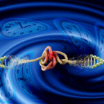 long-life-family-study-chooses-pacbio-hifi-sequencing-to-unlock-clues-to-exceptional-longevity