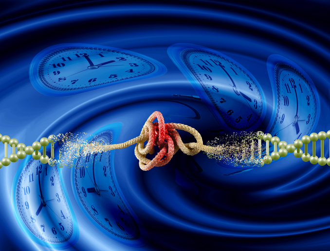long-life-family-study-chooses-pacbio-hifi-sequencing-to-unlock-clues-to-exceptional-longevity