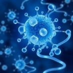 reversing-coma:-senolytics-and-stem-cells-lead-future
