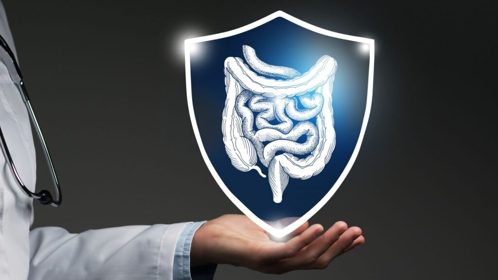 olympus,-wl.-gore-link-on-global-distribution-deal-for-endoscopic-placement-tool
