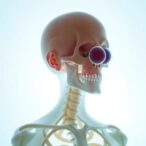 giant-omphaloceles:-treatment-delays-examined-in-review