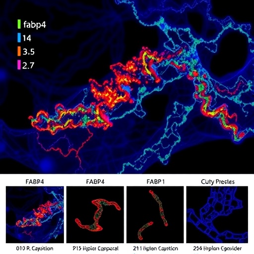 hispidulin-targets-fabp4-to-inhibit-osteosarcoma-growth