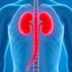 kidney-impairment-increases-healthcare-use-in-diabetics