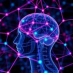 unlocking-eeg-connectomes-for-neuroscience-breakthroughs