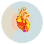atlas-of-variant-effects-to-enhance-cardiovascular-care